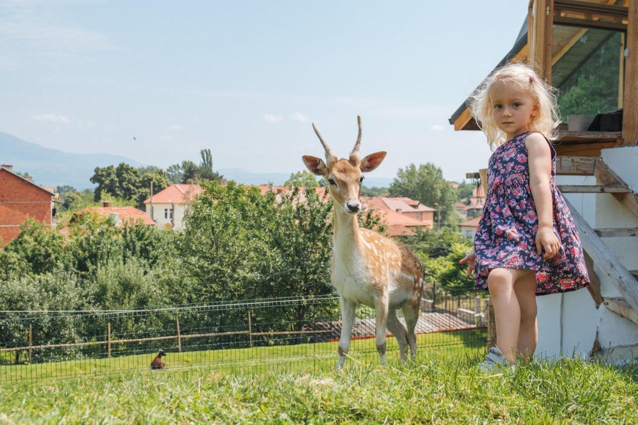 Tihiat Kut Complex Hotel Kjusztendil Kültér fotó